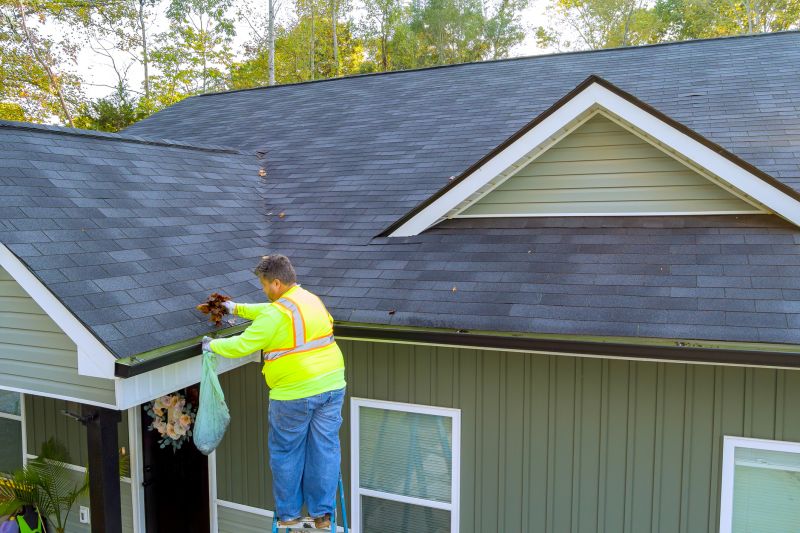 Local Gutter Cleaning Experts